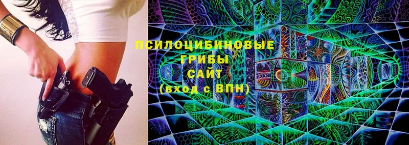 Галлюциногенные грибы Psilocybine cubensis  Гаджиево 